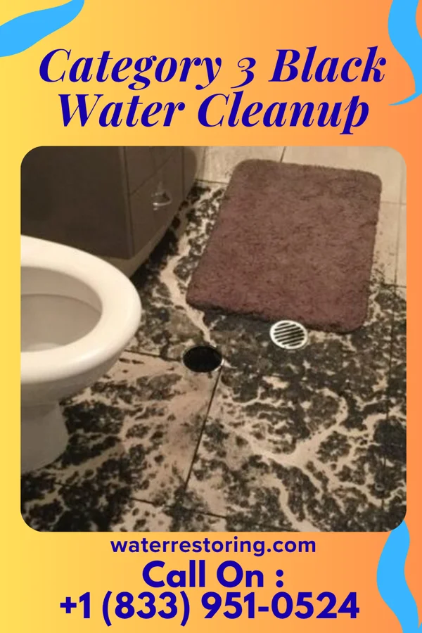 Category 3 Black Water Cleanup in Lake Mohawk, OH