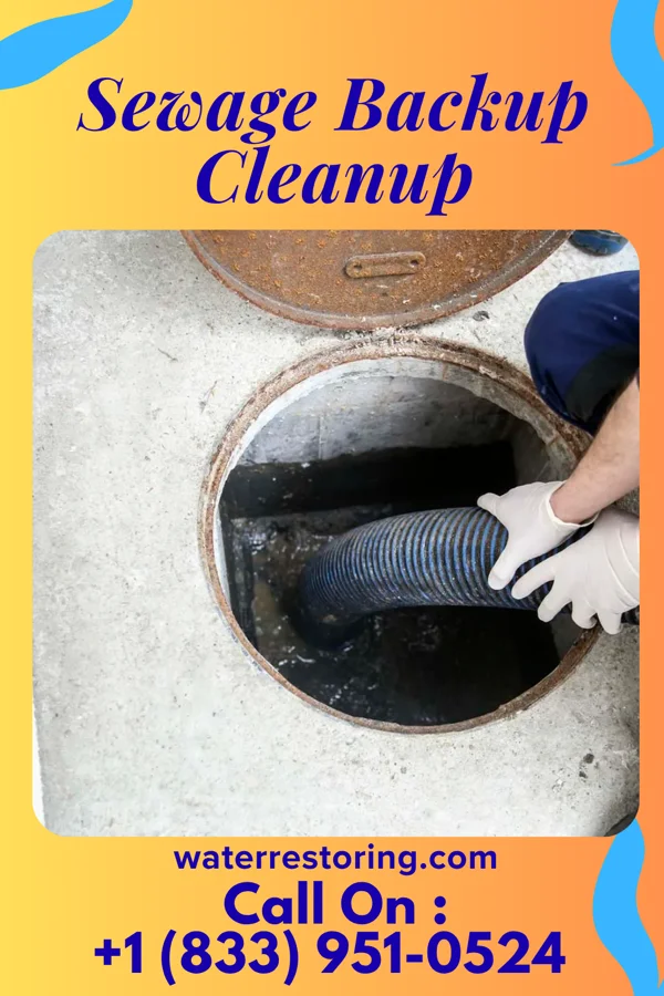 Sewage Backup Cleanup in Lake Mohawk, OH