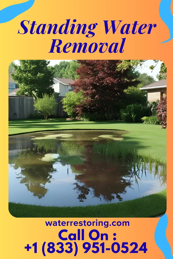 Standing Water Removal in Lake Mohawk, OH